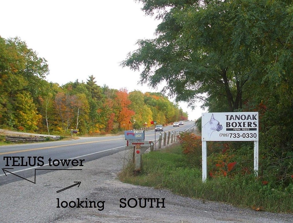 Tanoak | 8292 Simcoe County Rd 27, Barrie, ON L4N 9C4, Canada | Phone: (705) 733-0330