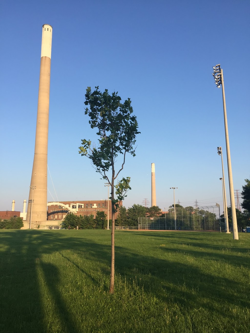 McCleary Park | 755 Lake Shore Blvd E, Toronto, ON M4M 2M8, Canada | Phone: (416) 392-2489