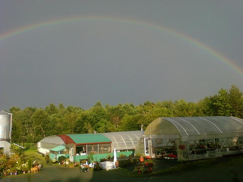 Les Serres Ariane | 537 2e Rang E, Saint-Joachim-de-Shefford, QC J0E 2G0, Canada | Phone: (450) 539-4166