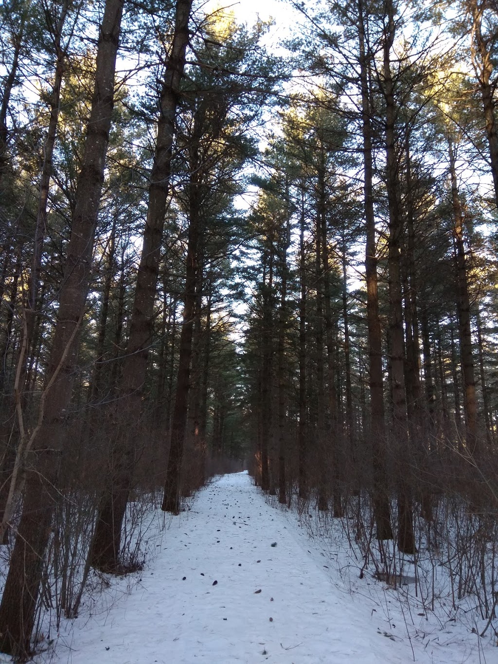 Greenbelt Parking P19 | Leitrim Rd, Ottawa, ON K0A 2Y0, Canada