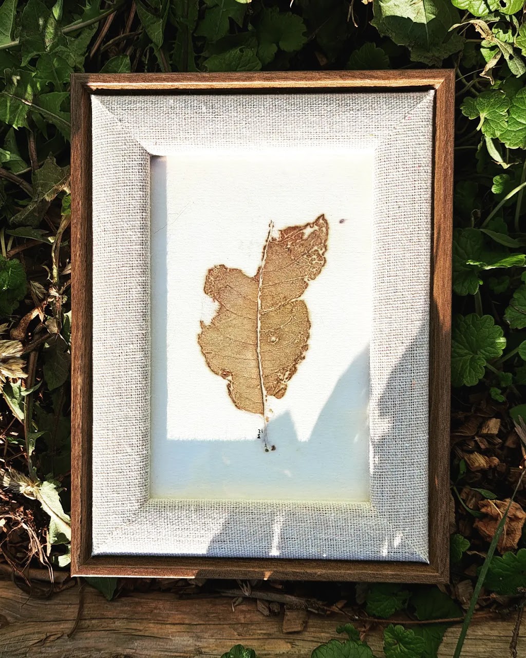 Subtleties of Nature | 519 Bridgeview Ln, Port Howe, NS B0K 1K0, Canada | Phone: (902) 297-7857