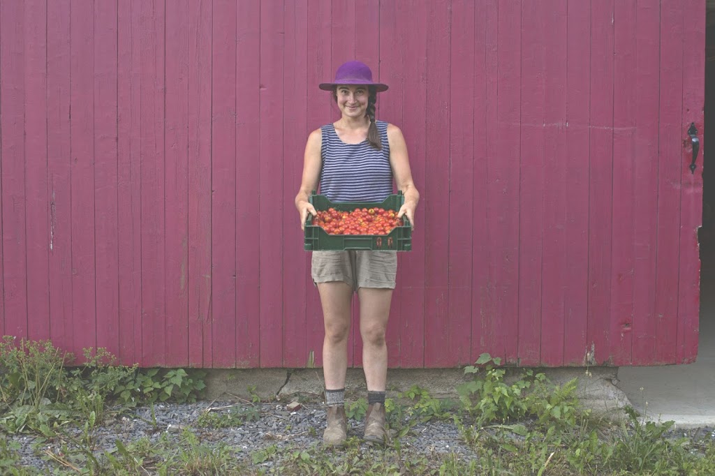 Ferme Les Carottés | 136 Chemin Gaudreau, Brigham, QC J2K 4E6, Canada | Phone: (438) 763-0523