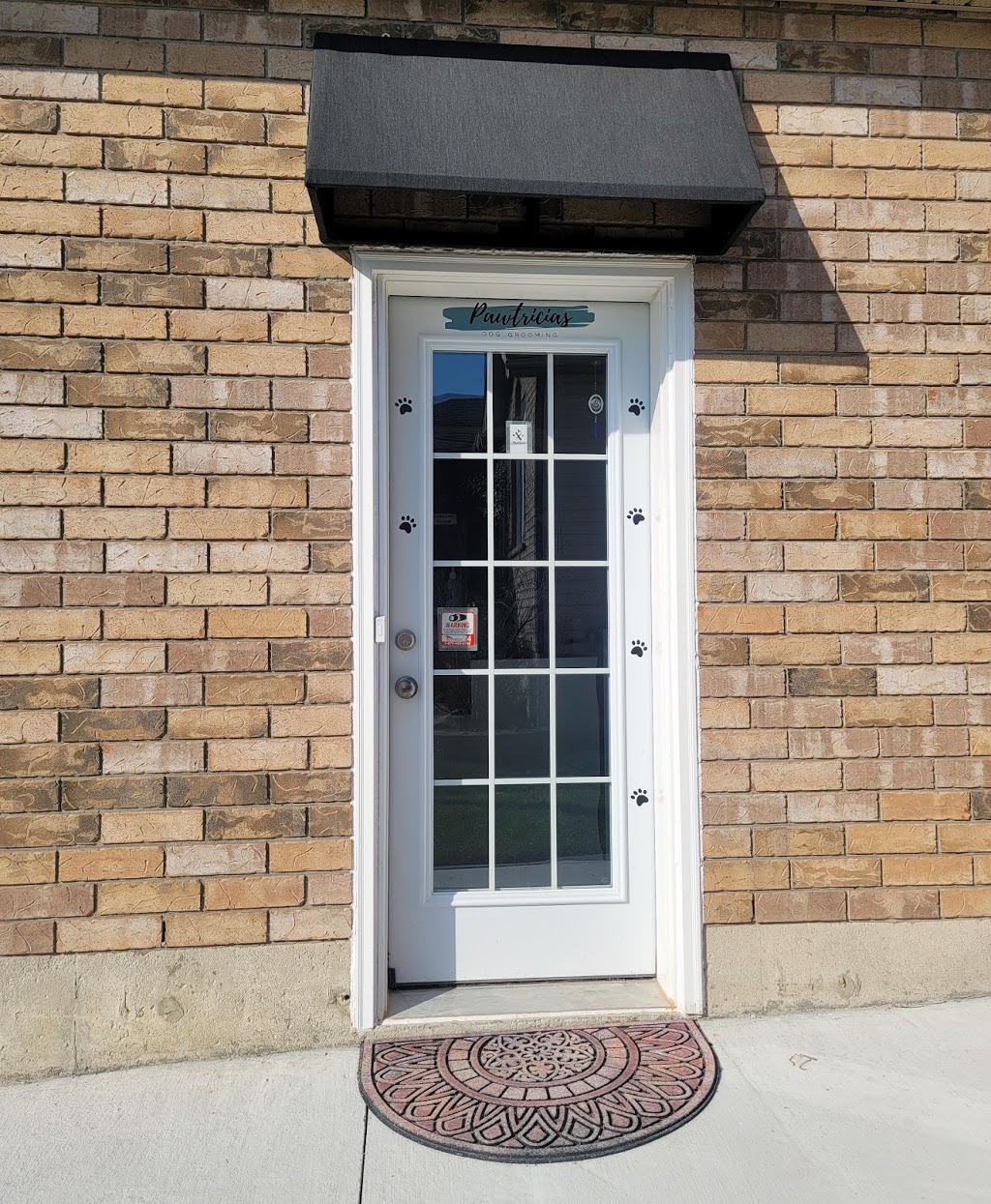 Pawtricias Dog Grooming | 56 Nicole Marie Ave, Barrie, ON L4M 6Y6, Canada | Phone: (416) 857-5300