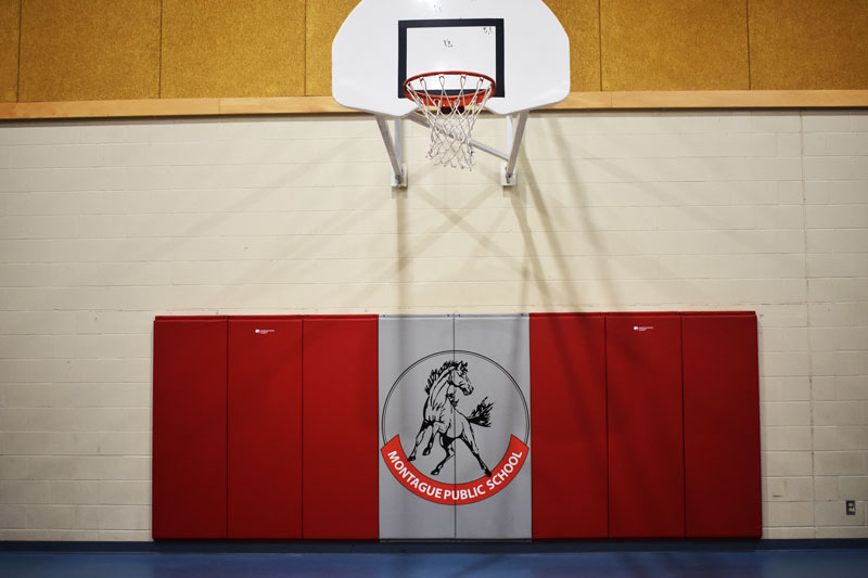 Sport Systems | 28 Industrial Dr, Almonte, ON K0A 1A0, Canada | Phone: (877) 600-4667
