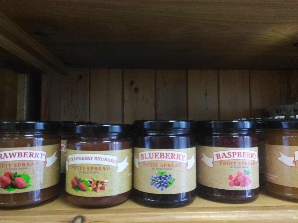 Little Bee Farmers Market | 1077 Britannia Rd E, Mississauga, ON L4W 3X1, Canada | Phone: (416) 738-6728