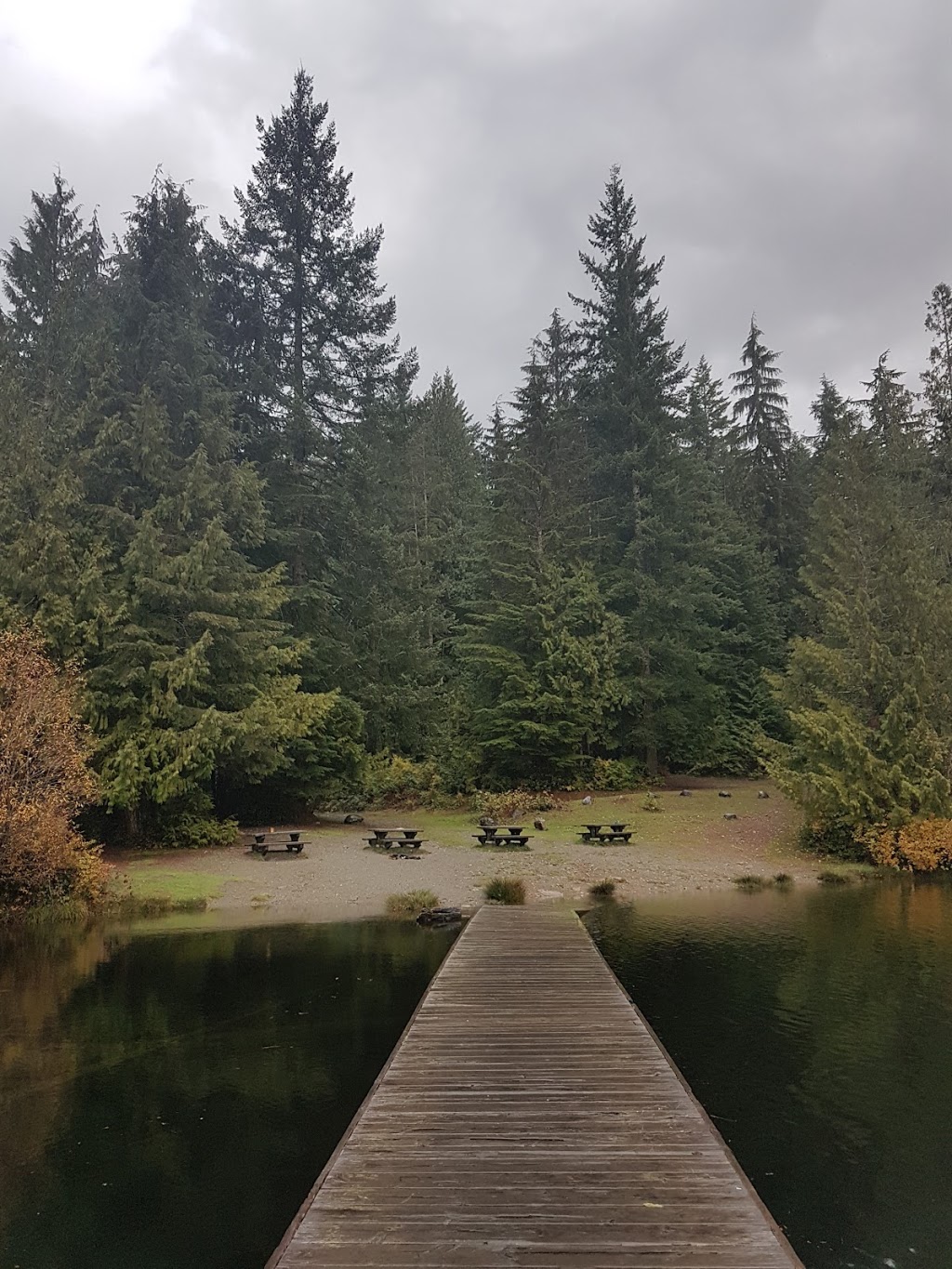 Lizard Lake Camp Ground | Site 18 Harris Main FSR Canada, Pacific Marine Rd, Port Renfrew, BC V0S, Canada | Phone: (250) 701-1976