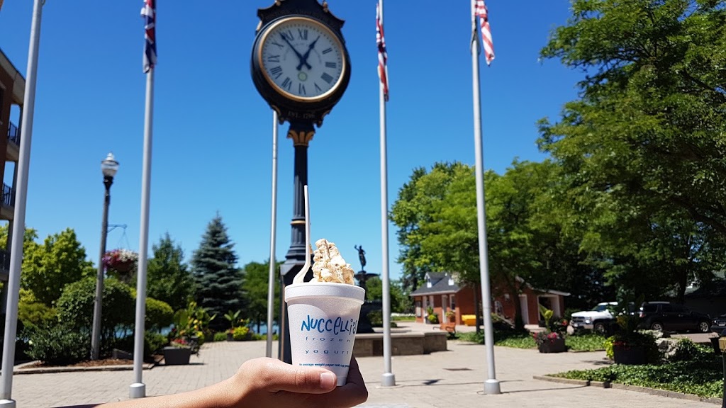 Nuccellis Frozen Yogurt | 274 Dalhousie St, Amherstburg, ON N9V 0E8, Canada | Phone: (519) 736-7020