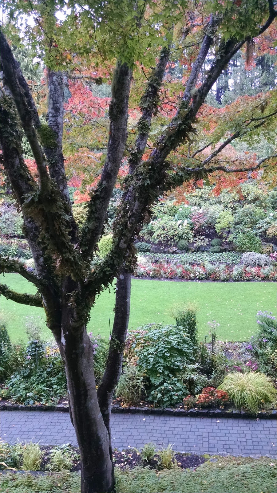 Cycle Inn Bed & Breakfast | 3158 Anders Rd, Victoria, BC V9B 4C4, Canada | Phone: (250) 478-6821