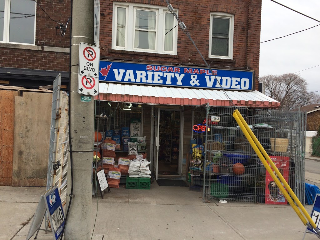 Sugar Maple Variety | 471 Sammon Ave, East York, ON M4J 4T6, Canada | Phone: (416) 466-2231