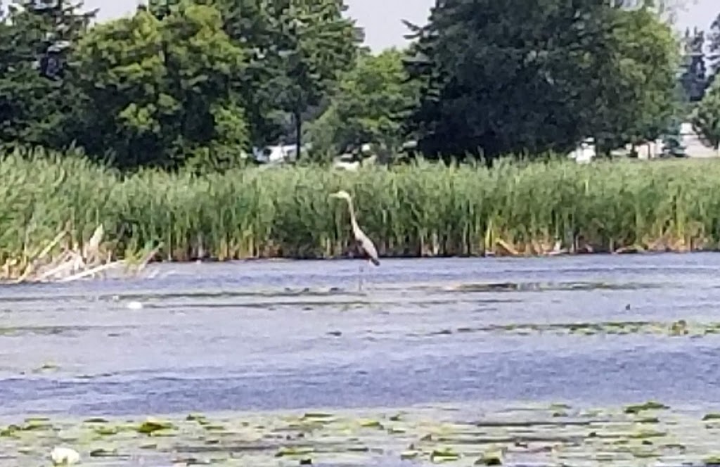 Bowmanville Harbour Conservation Area | Bowmanville, ON L1C 3K3, Canada | Phone: (905) 579-0411