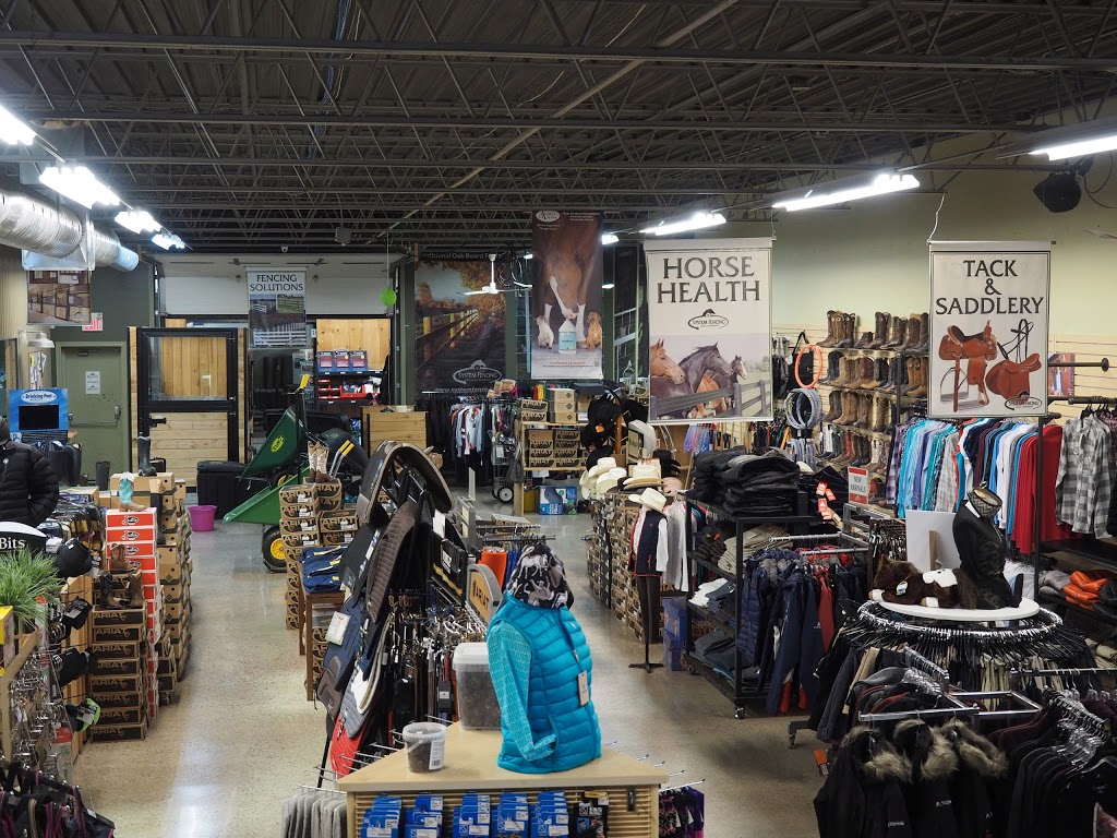 System Equine | 14321 5 Line, Rockwood, ON N0B 2K0, Canada | Phone: (519) 856-9959