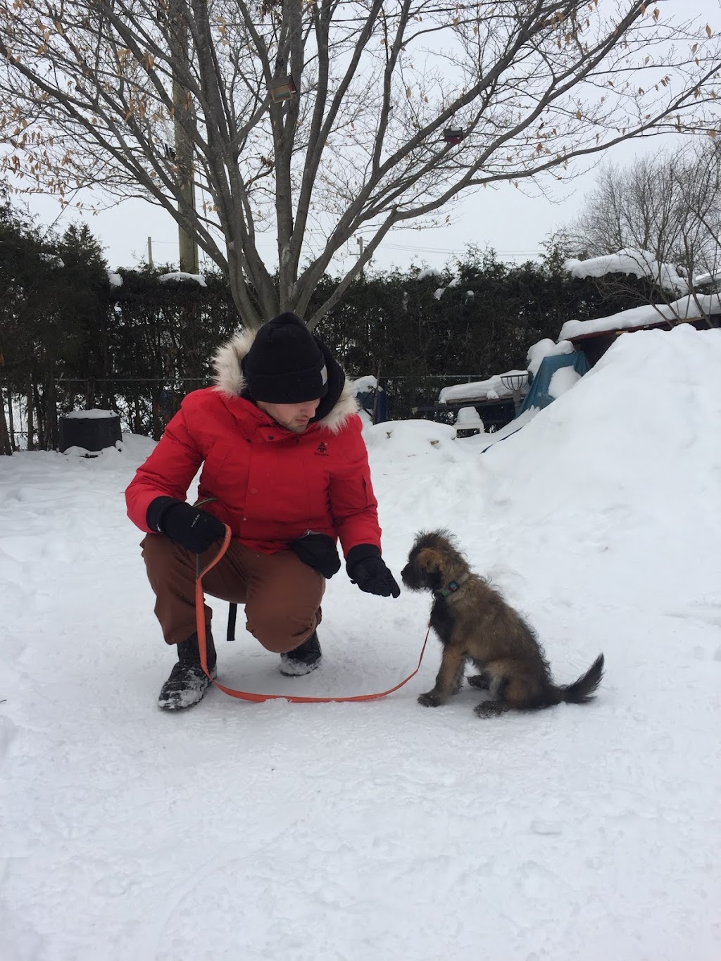 Kanata K9 | 318 Forestbrook St, Kanata, ON K2K 0B9, Canada | Phone: (613) 890-3610