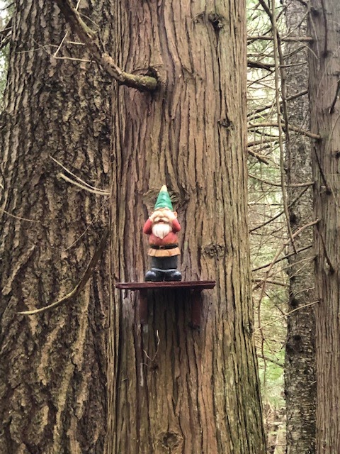 Enchanted Forest Trail | 2050 Benson Rd, Point Roberts, WA 98281, USA