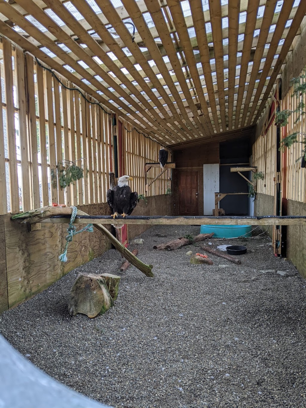 MARS Wildlife Rescue VISITOR CENTRE | 1331 Williams Beach Rd, Merville, BC V0R 2M0, Canada | Phone: (778) 428-2000