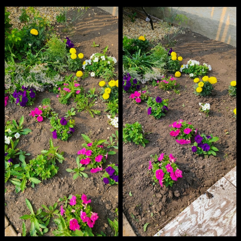 Legendary Yard Care Services | #9 Main St Unit 193, Hay Lakes, AB T0B 1W0, Canada | Phone: (780) 678-5532