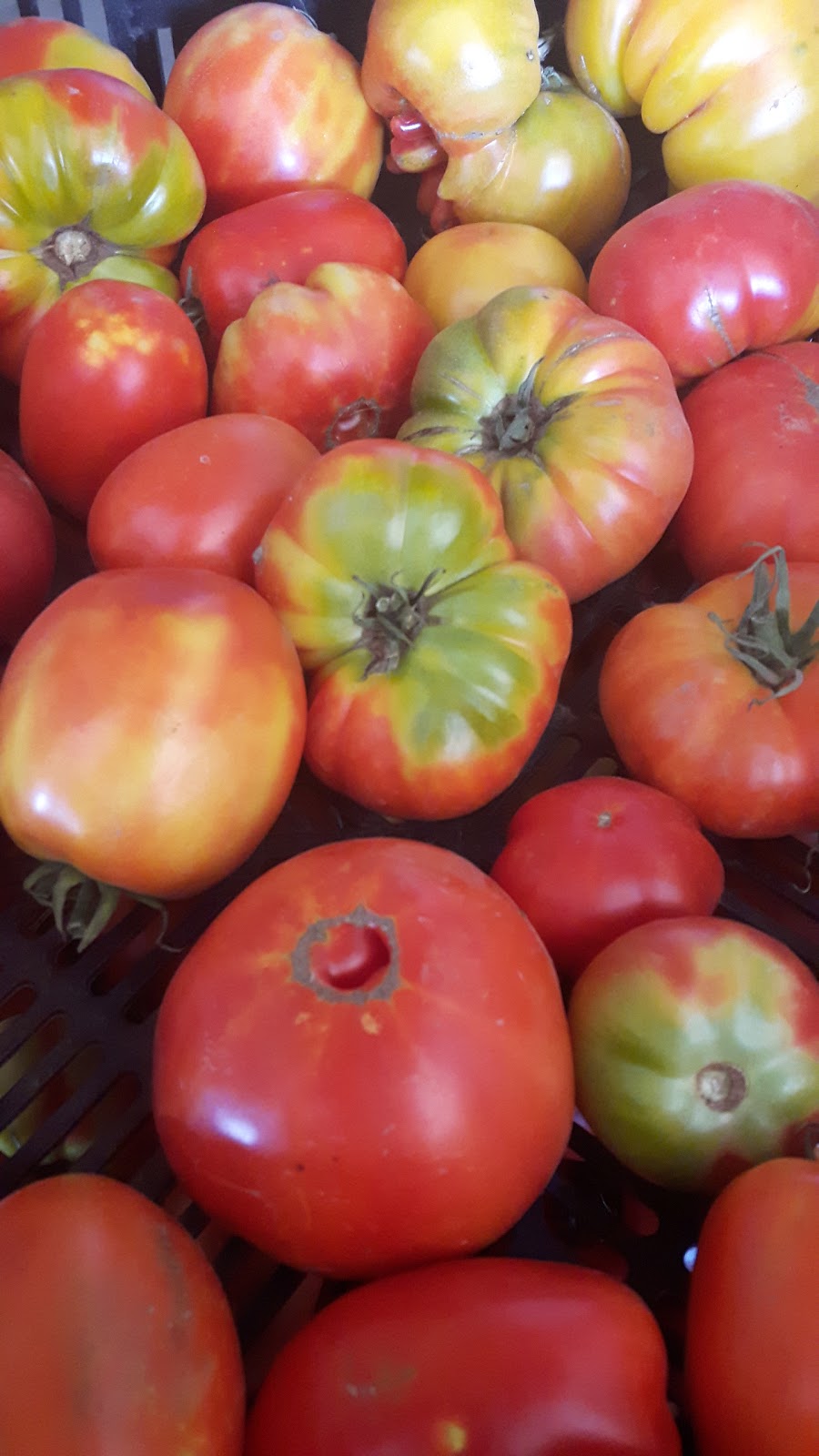 Lunar Rhythm Gardens, Organic CSA Farm | 253 Gray Rd, Janetville, ON L0B 1K0, Canada | Phone: (905) 986-9612
