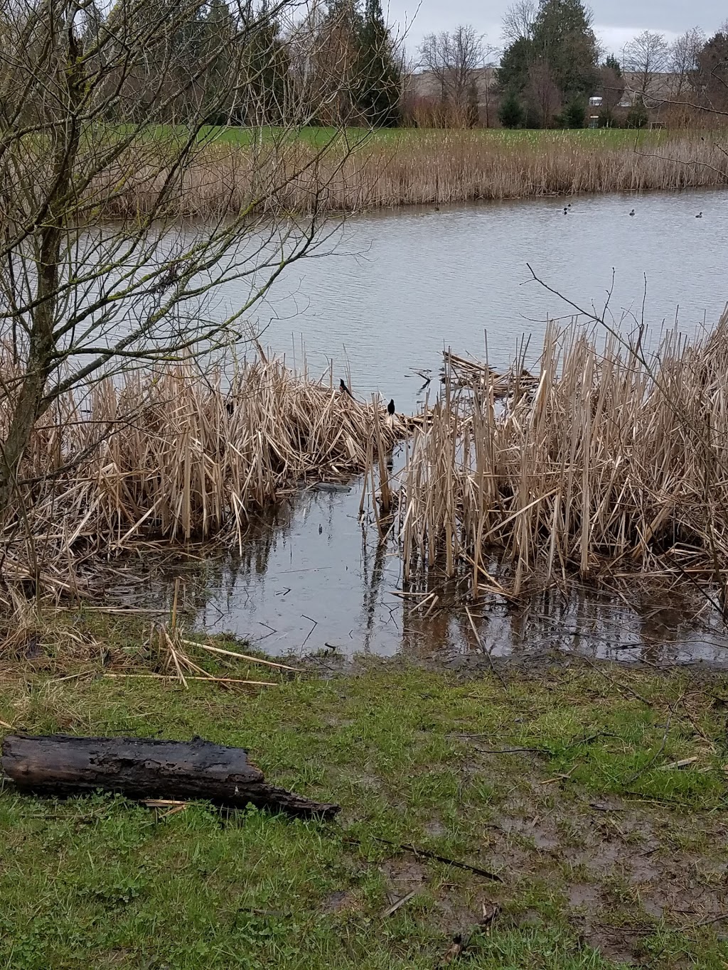 VanderYacht Park | 1945 Washington St, Ferndale, WA 98248, USA