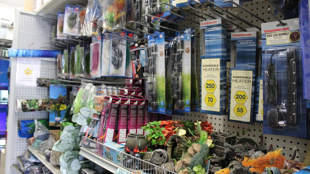 Wild Fish Aquarium(pet shop) | 51 McMurchy Ave S, Brampton, ON L6Y 1Y5, Canada | Phone: (905) 451-9453