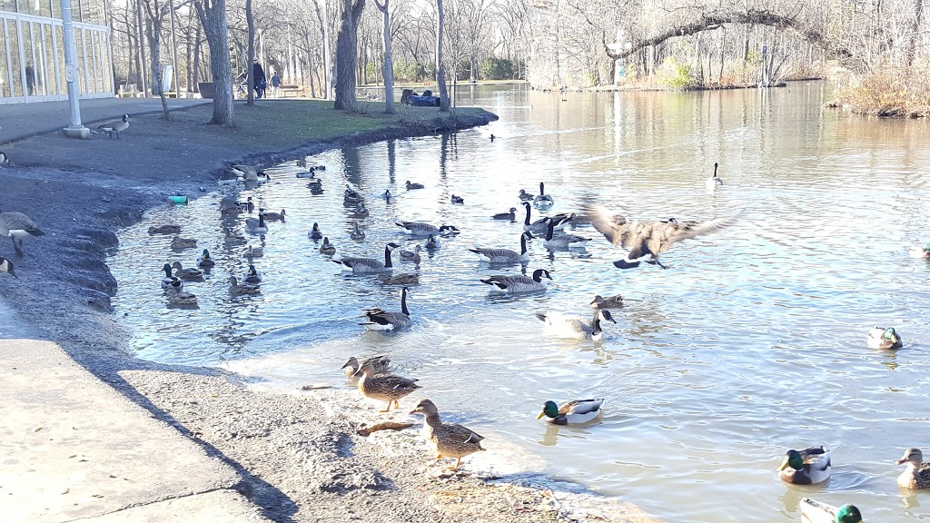 St. Vital Park | 190 River Rd, Winnipeg, MB R2M 5C4, Canada | Phone: (877) 311-4974