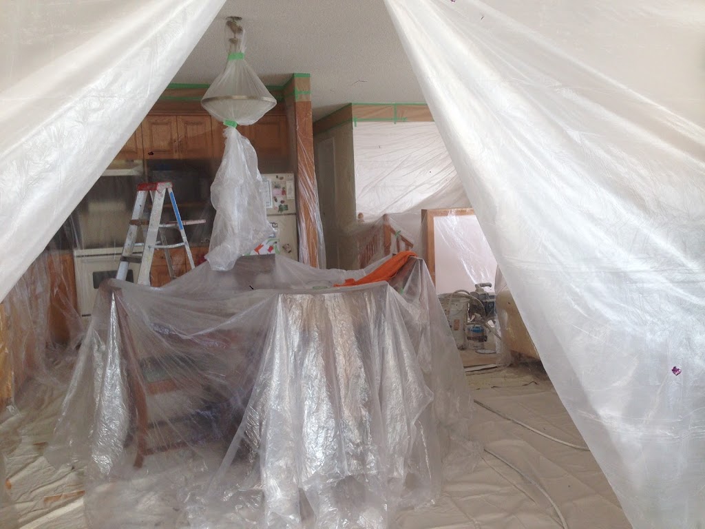 DMAC PAINTING | Lawless St, Fort QuAppelle, SK S0G 1S0, Canada | Phone: (306) 331-0026