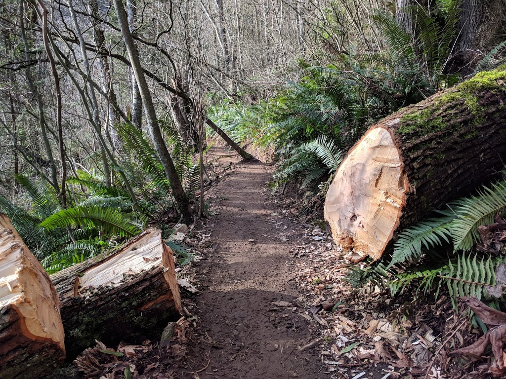 The abby grind | Lakemount Rd, Abbotsford, BC V3G 2T2, Canada