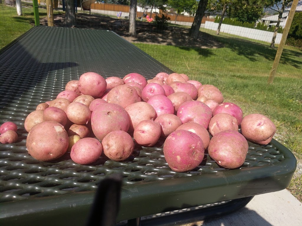 Ballou Community Garden | 1859 Ballou Rd, Kelowna, BC V1V 1R4, Canada