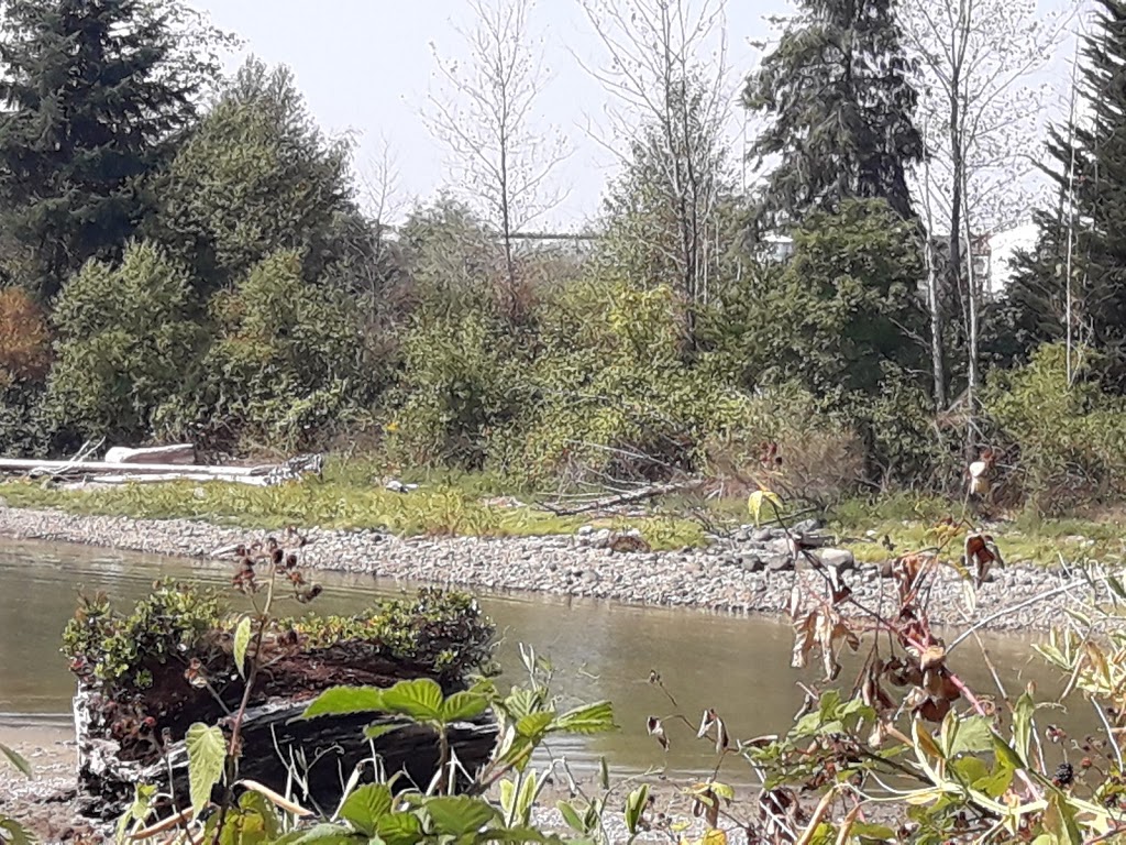 Maplewood Flats Conservation Area | 2645 Dollarton Hwy, North Vancouver, BC V7H 1B1, Canada | Phone: (604) 929-2379