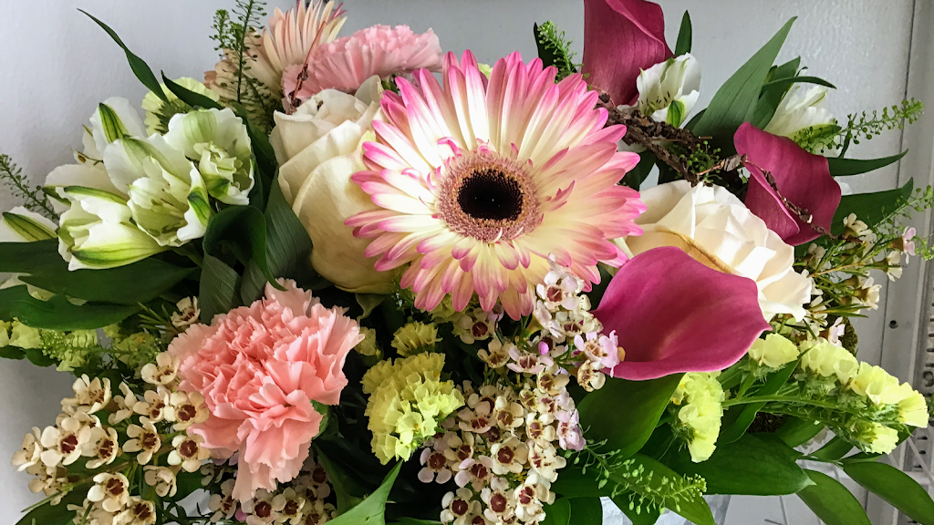 Bellas and Blooms | 440 Niagara St, Welland, ON L3C 1L5, Canada | Phone: (289) 820-6077
