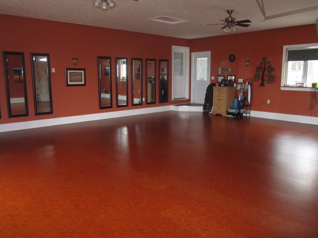 Zaandi Yoga Studio | 87 Concession 3 Rd, Fisherville, ON N0A 1G0, Canada | Phone: (905) 541-1315