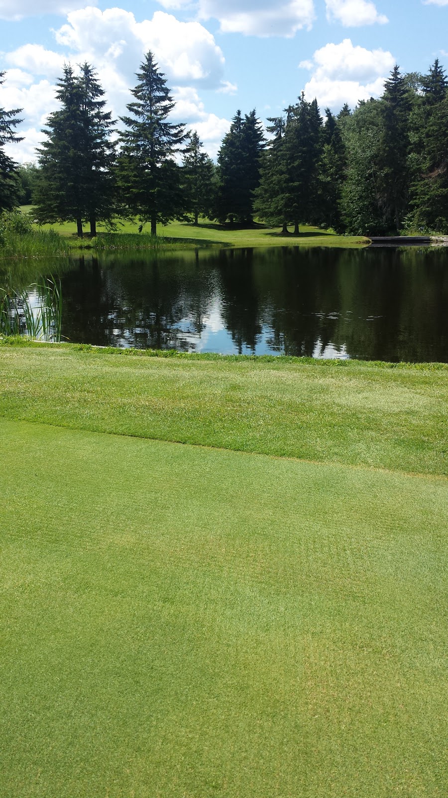 Maplewood Golf & Country Club | NB-115, Irishtown, NB E1H 2M4, Canada | Phone: (506) 858-7840