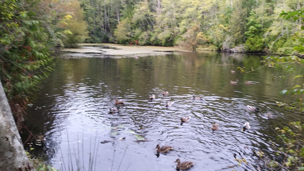 Duck Pond | 11119 Greenpark Dr, North Saanich, BC V8L 5N5, Canada