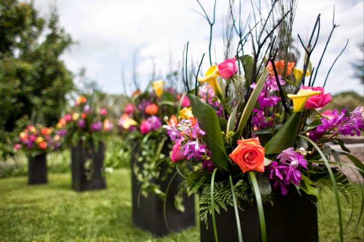Awesome-Blossoms | 182 Merritt St, Ingersoll, ON N5C 3A3, Canada | Phone: (519) 425-0512