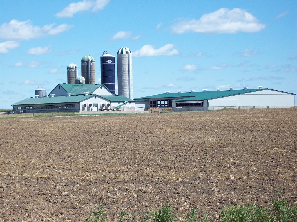 WestLin Building Supplies Inc | 6115 Ament Line, Linwood, ON N0B 2A0, Canada | Phone: (519) 698-2979