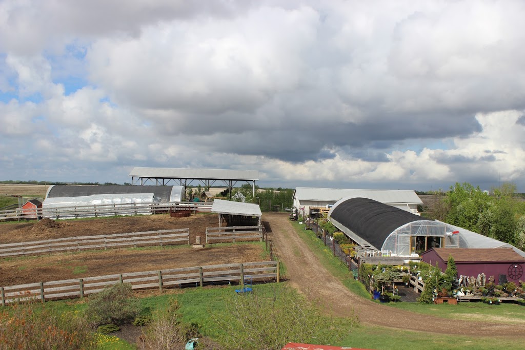 Echoglen Gardens | 18469 Twp Rd 41-4, Donalda, AB T0B 1H0, Canada | Phone: (403) 741-8196