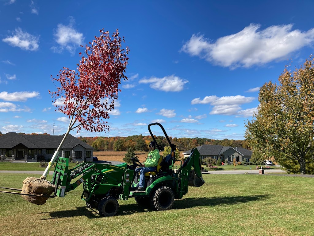Sideline Tree Service | 3822 Kingston 2, Gananoque, ON K7G 2V5, Canada | Phone: (613) 540-3121