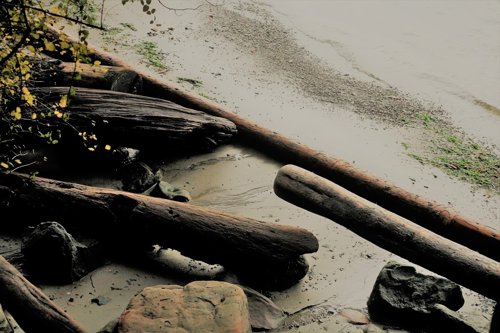 Seahouse Gallery | 2905 Fulford-Ganges Rd, Salt Spring Island, BC V8K 1X6, Canada | Phone: (250) 537-6413