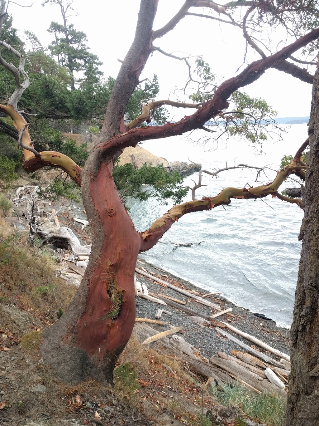 Turn Island State Park | 20 Cormorant Ln, Friday Harbor, WA 98250, USA | Phone: (360) 378-2044