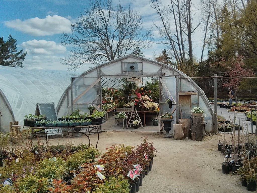 Greentree Gardens & Emporium | 11555 ON-26, Collingwood, ON L9Y 5E7, Canada | Phone: (705) 444-2146