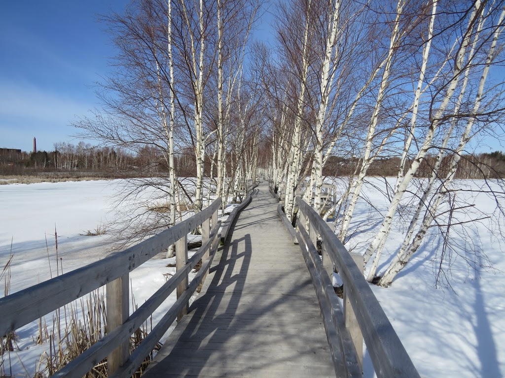 Sackville Waterfowl Park | 34 Mallard Dr, Sackville, NB E4L 1G6, Canada | Phone: (506) 364-4930