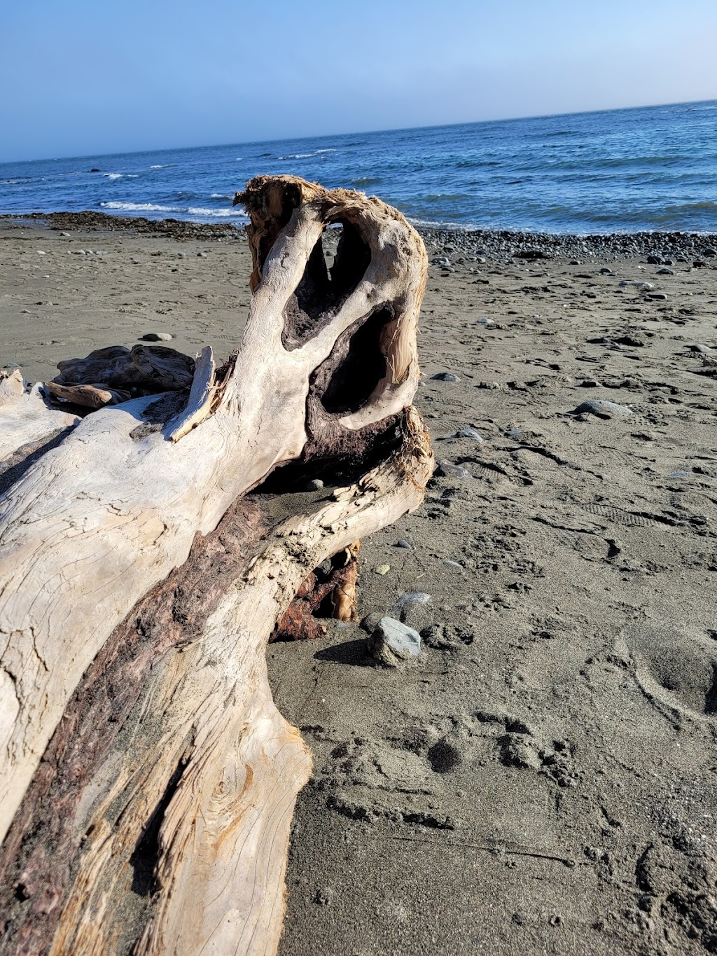 China Beach Campground | Capital, BC V0R 2N0, Canada | Phone: (250) 474-1336