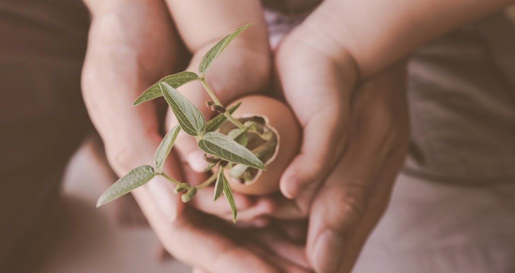 Montessori Early Learning Centre | 20 Douglas Woods Dr SE unit 44, Calgary, AB T2Z 1K4, Canada | Phone: (403) 399-0021