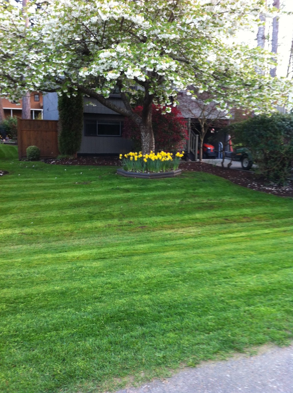 Comox Valley Lawn Care | 1609 Birch Ave, Comox, BC V9M 2C5, Canada | Phone: (250) 218-2596