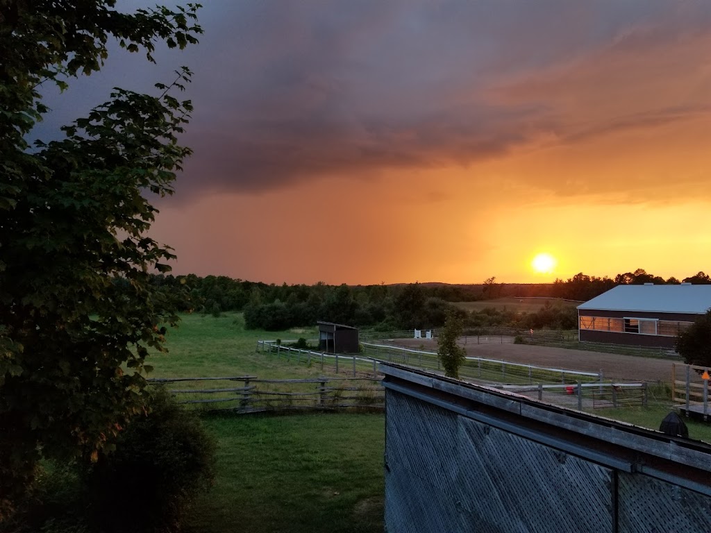 Inukshuk Farm & Equestrian Centre | 1940 Birch Island Rd, Lakefield, ON K0L 2H0, Canada | Phone: (705) 875-2899
