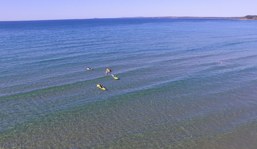 Surf Martinique | 2315 E Petpeswick Rd, Musquodoboit Harbour, NS B0J 2L0, Canada | Phone: (902) 789-5483