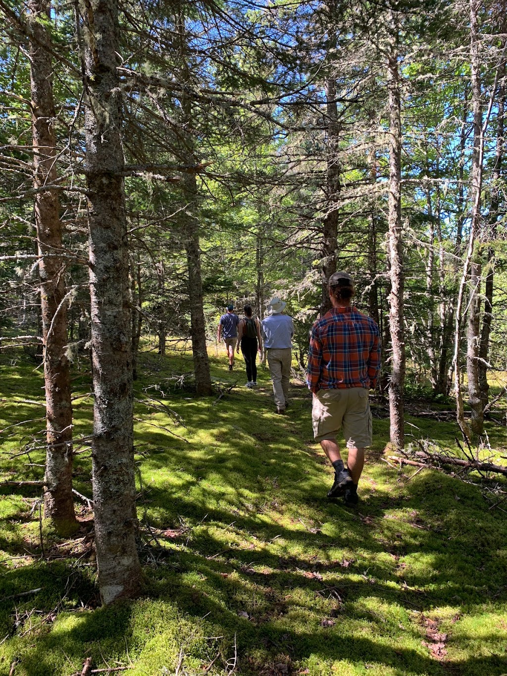 FireLoch | 1442 Nova Scotia Trunk 7, North Lochaber, NS B2G 2L3, Canada | Phone: (902) 318-2979