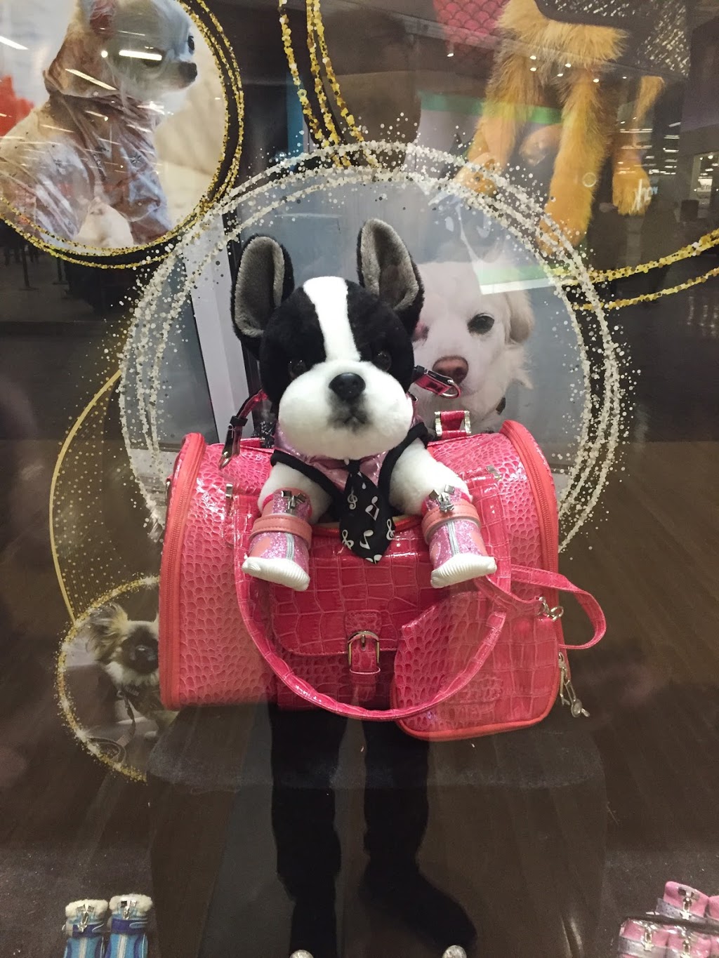 Sweetie B Petwear Ltd | Vaughan Mills, 1 Bass Pro Mills Dr, Concord, ON L4K 5W4, Canada | Phone: (905) 597-5626