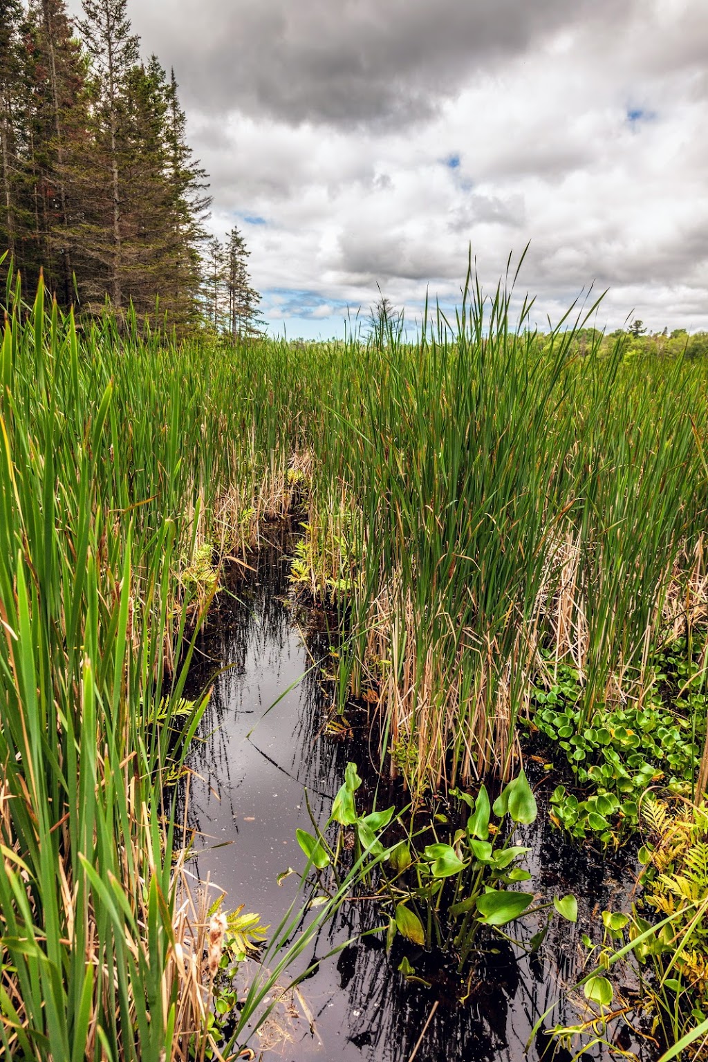 Grundy Lake Provincial Park | ON-522, Unorganized Centre Parry Sound District, ON P0G, Canada | Phone: (705) 383-2286