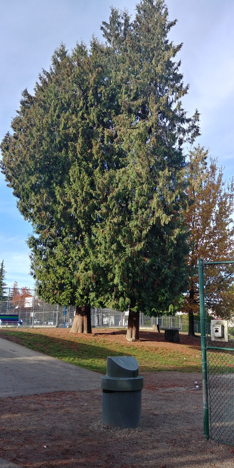 Herbert Spencer Elementary School | 605 Second St, New Westminster, BC V3L 5R9, Canada | Phone: (604) 517-6030