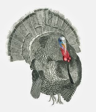 Marc De Groote - The Great Art Studio | Carling Township, 31 Worsley Ln, Nobel, ON P0G 1G0, Canada | Phone: (705) 342-7519