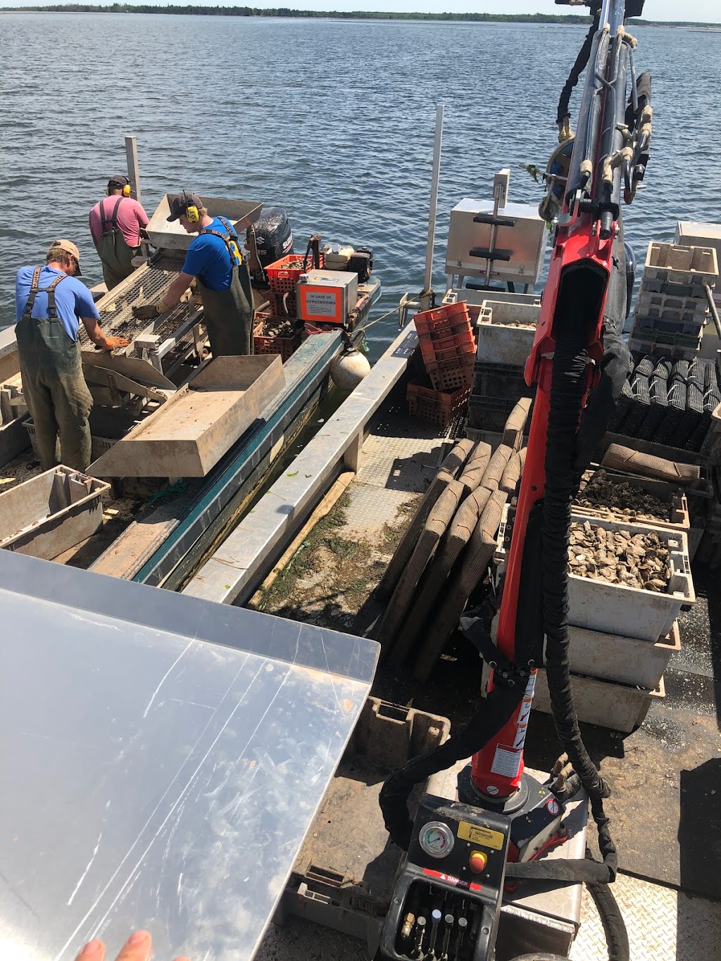 N 46° Oysters Inc. | 392 Trout River Rd, Coleman, PE C0B 1H0, Canada | Phone: (902) 859-1884